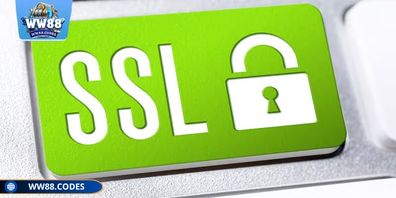 Mã hóa SSL 128-bit được áp dụng ngăn chặn tấn công