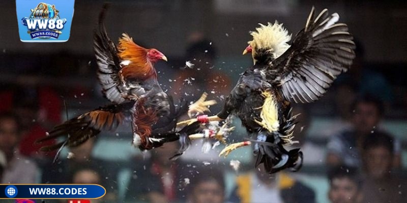 Hệ thống game luôn minh bạch, uy tín