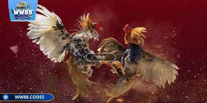 Phân tích chiến kê dựa trên hình ảnh thi đấu