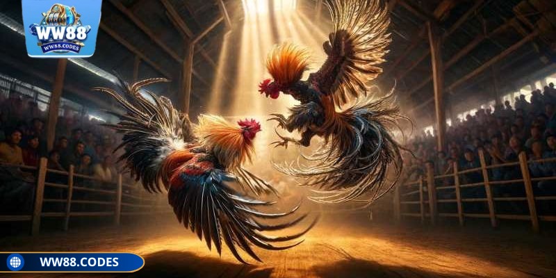 Tỷ lệ thắng và thưởng hấp dẫn hàng ngày