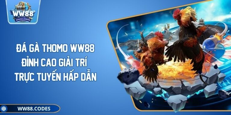 Đá Gà Thomo WW88 - Đỉnh Cao Giải Trí Trực Tuyến Hấp Dẫn