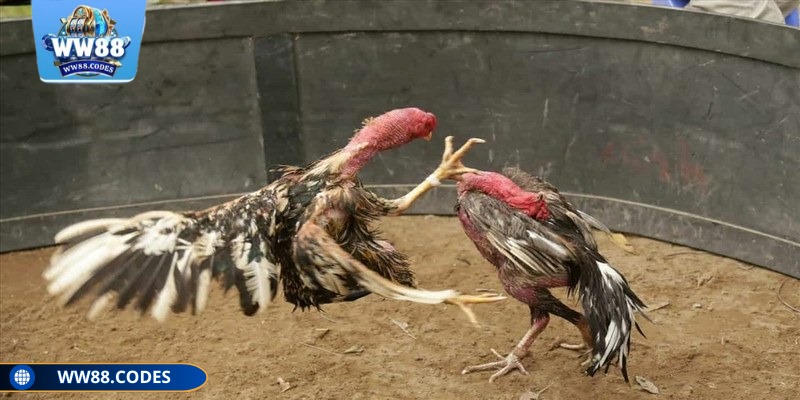 Nguồn vốn đóng vai trò quan trọng nên hãy cẩn thận