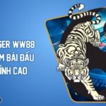 Dragon Tiger WW88 Trải Nghiệm Bài Đấu Tốc Độ Đỉnh Cao
