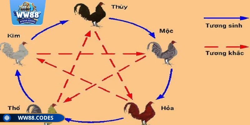 Hãy cân nhắc thật kỹ và tránh áp dụng cứng nhắc
