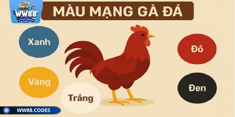 Màu mạng đá gà theo ngày WW88 được nhiều người chơi áp dụng